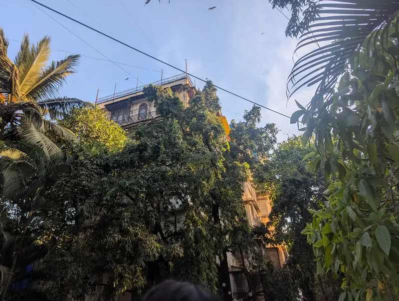 Bandra is cool, actually